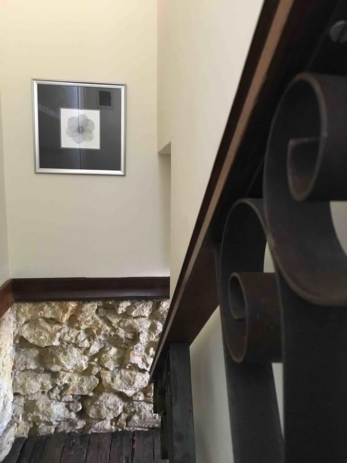 Studio 53 Diamantina Dış mekan fotoğraf